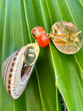 Sundial Shell Drop Earrings with Jasper