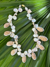 Flutter Pearl Necklace with Cypraea Shells