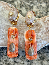 Spondilius & Cypraea Drop Shell Earrings with Moissanite