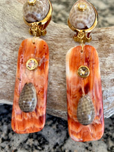 Spondilius & Cypraea Drop Shell Earrings with Moissanite