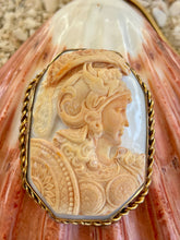 Large Lion's Paw Shell with Antique Cameo of Athena