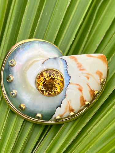 Nautilus-family Shell Brooch with Citrine