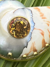 Nautilus-family Shell Brooch with Citrine