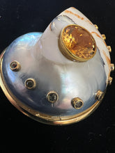 Nautilus-family Shell Brooch with Citrine