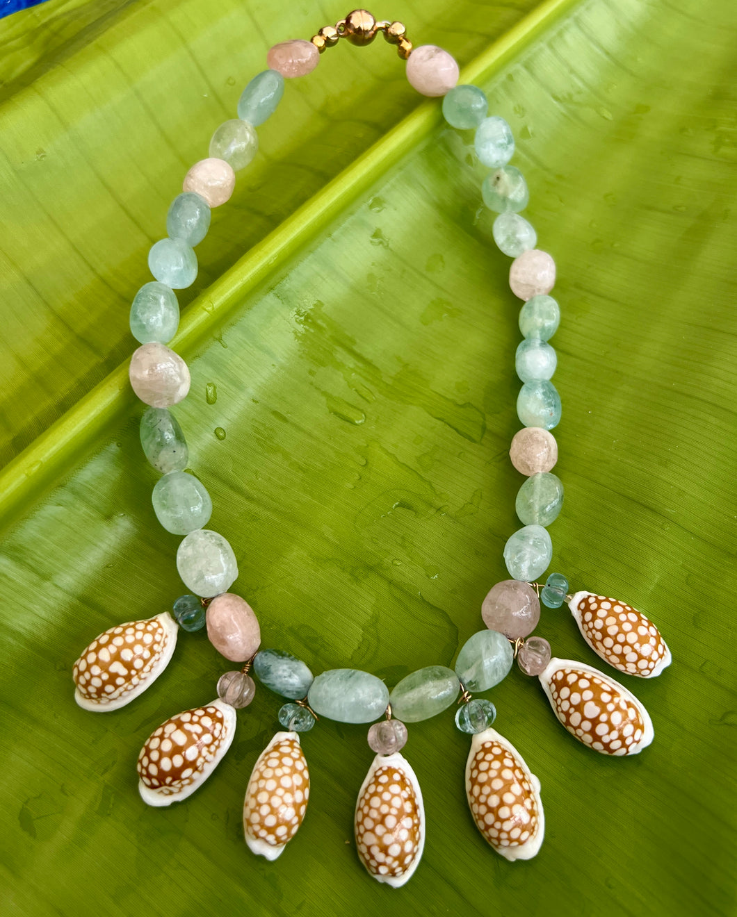 Aquamarine Choker Necklace with Cyprea Cribaria Shells