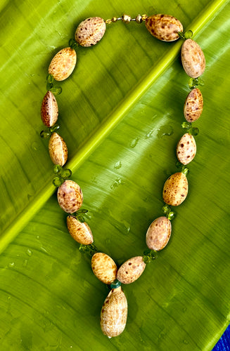 Cyprea Shell Necklace with Peridot Briolettes