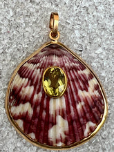 St. James Scallop Pendant with Peridot