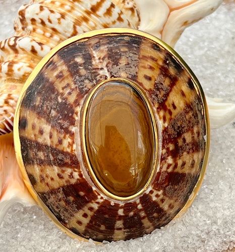 Antique Limpet Brooch with Oval Agate