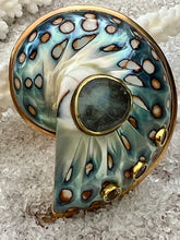 Nautilus Earrings with Aquamarines