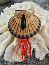 Scallop Brooch with Italian Red Coral