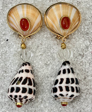 Conus Drop Earrings with Coral