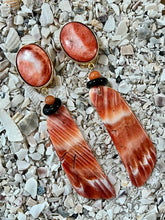 Spondilius Shell Drop Earrrings with Onyx