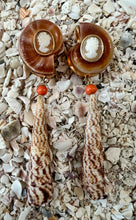 Terebra Shell Earrings with Cameos