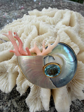 Nautilus Heart Brooch with Blue Topaz & Pink Coral