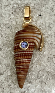 14-Karat Lorelei Terebra Shell Set with Sapphire