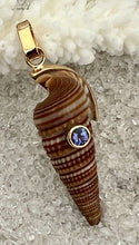 14-Karat Lorelei Terebra Shell Set with Sapphire