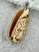 Large Olive Shell Pendant