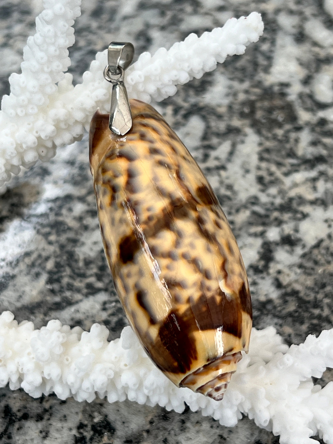 Large Olive Shell Pendant