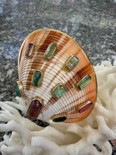 14-karat Calista Shell Brooch with Tourmaline Cabochons