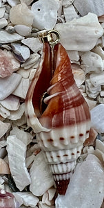 14-Karat Lorelei Terebra Shell Charm with Garnet