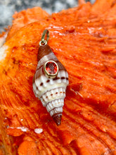 14-Karat Lorelei Terebra Shell Charm with Garnet