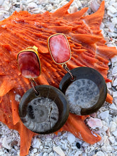 Fossil Shell & Spondilius Earrings