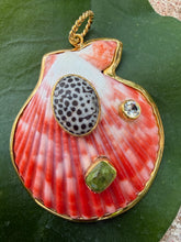 St. James Scallop Pendant with Fossilized Coral