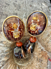 Brown Limpet & Cut Shell Earrings with Citrine