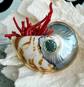 Nautilus Brooch with Coral & Tourmaline