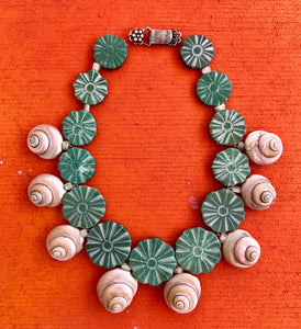 Amazonite Coin Necklace with Turbo Shells