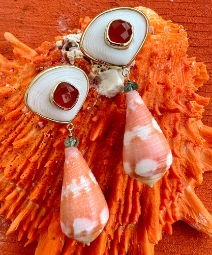 Conus Shell Earrings with Carnelian