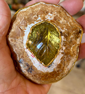 Large African Limpet Brooch with Carved Citrine