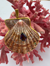 St. James Lion's Paw Shell Pendant with Amethyst