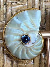 Nautilus Heart Earrings with Sapphire & Moonstone