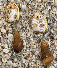 Cockle and Fossil Shell Earrings with Sapphires