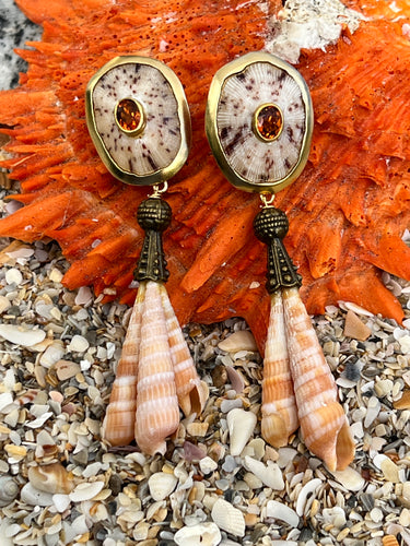 Limpet & Terebra Shell Drop Earrings with Garnets