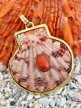 St. James Scallop Pendant with Coral