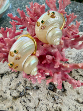 Pearled Turbo Shell Earrings with Sapphires