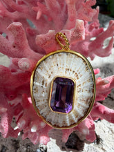 Limpet Shell Pendant with Amethyst