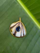 Tellin Shell Pendant with Sapphire