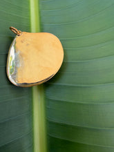 Tellin Shell Pendant with Sapphire