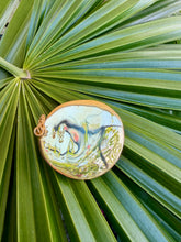 Antique Limpet Shell Pendant with Coral Cabochon