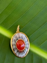 Limpet Shell Pendant with Carnelian Cabochon