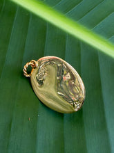 Limpet Shell Pendant with Carnelian Cabochon