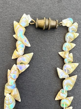 Rare Maireener Shell Short Necklace