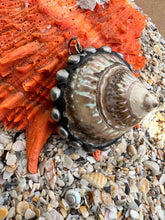 Trochus Shell Pendant with Silver