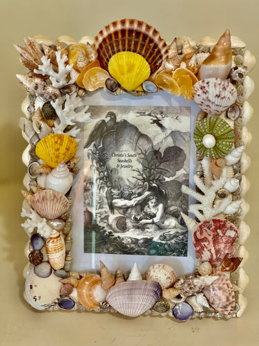 Christa's South Seashells Picture Frame