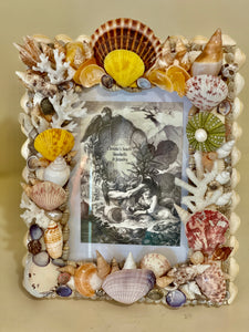 Christa's South Seashells Picture Frame