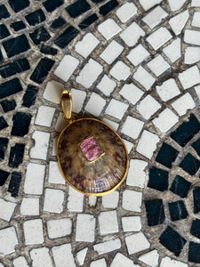 Limpet Shell Pendant with Pink Tourmaline