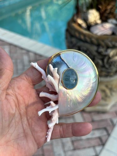 Nautilus Brooch with Kunzite Cabochon